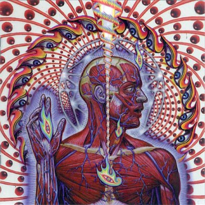 lateralus inside